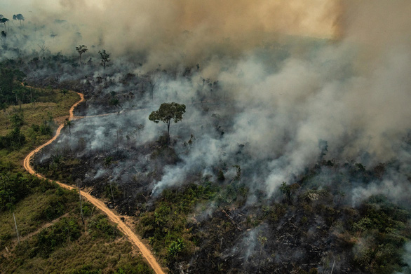 Một đám cháy rừng Amazon tại Brazil nhìn từ trên cao - Ảnh: AFP