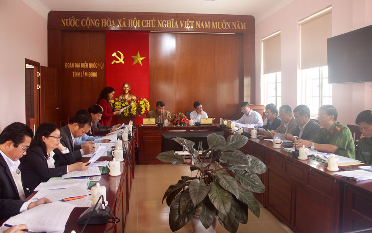 Đoàn đại biểu Quốc hội Lâm Đồng giám sát về xâm hại trẻ em tại địa phương