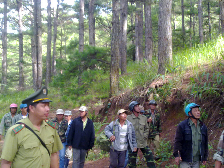 Đơn Dương: Rà soát để thực hiện giao rừng theo Nghị định 168