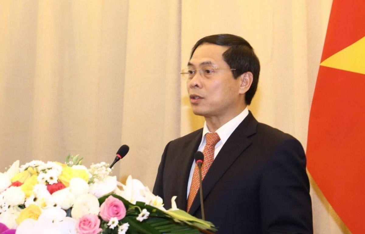 Thứ trưởng Thường trực Bộ Ngoại giao Bùi Thanh Sơn phát biểu