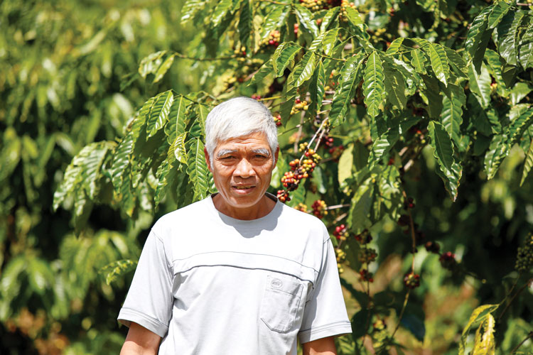 Già làng K’Tạo là người đi đầu trong chuyển đổi trồng giống cà phê mới
