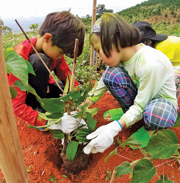 Những em bé trồng cây trên núi Đại Bình