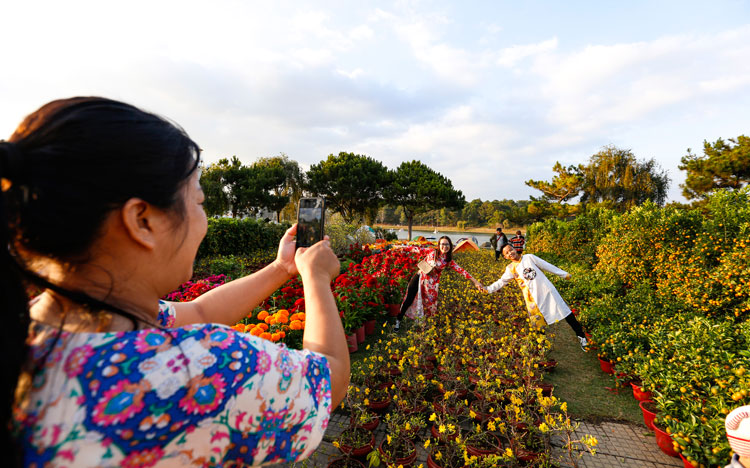 Người dân, du khách tạo dáng chụp hình trên cung đường hoa xuân
