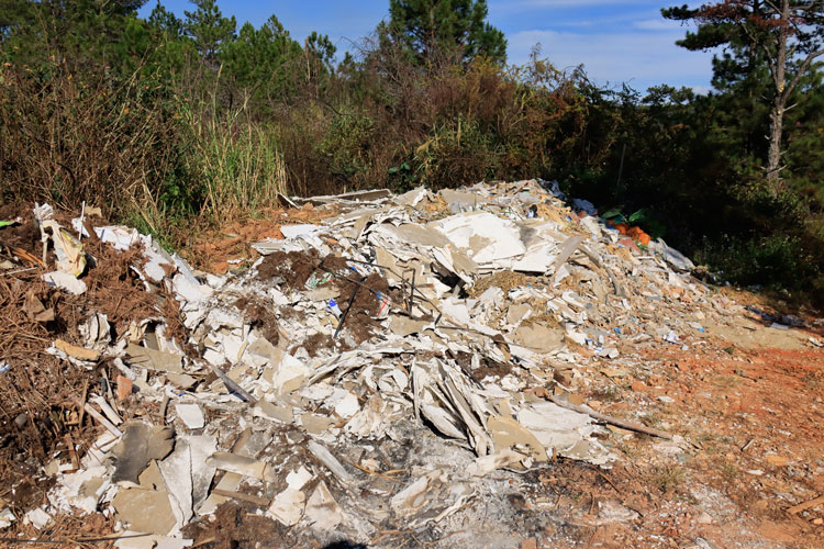 Cần xử lý nghiêm hành vi đổ chất thải vào rừng