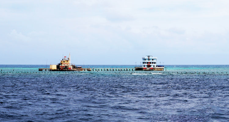Đảo chìm Đá Nam hiên ngang giữa bốn bề sóng nước