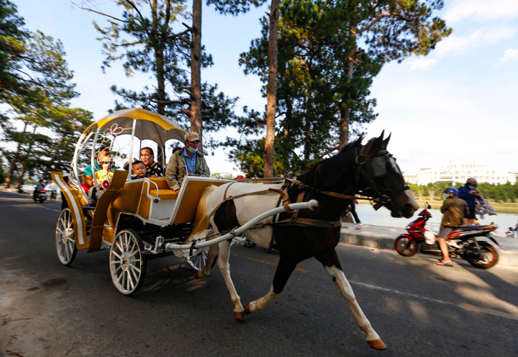 Người dân thích thú đi xe ngựa dạo quanh hồ Xuân Hương, một dịch vụ du lịch tạo sự khác biệt trên phố núi