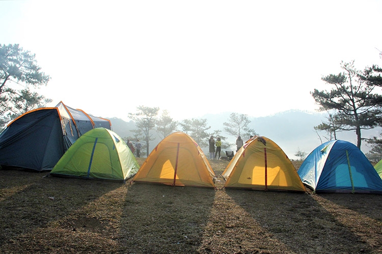 Tour cắm trại qua đêm hấp dẫn du khách