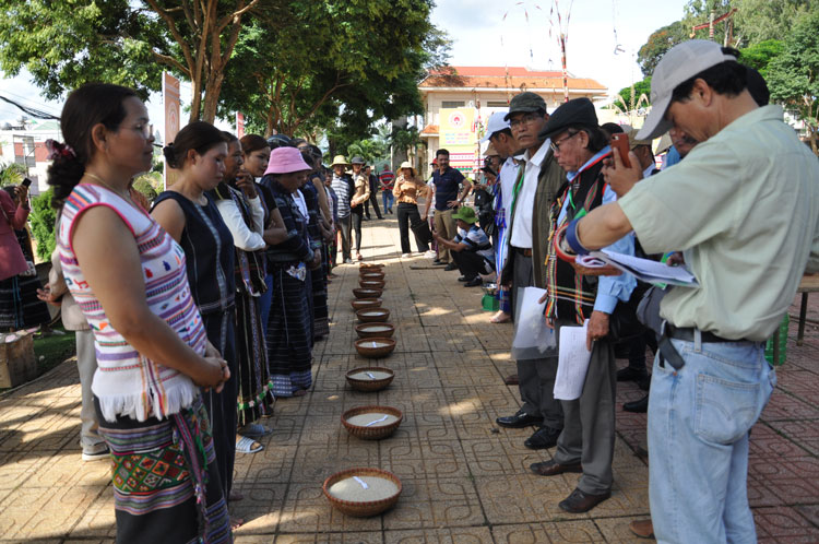Ban tổ chức chấm điểm gạo giã từ lúa của các đội 