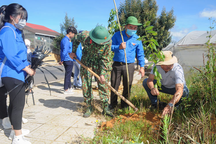 Trồng cây xanh trên Quốc lộ 27C