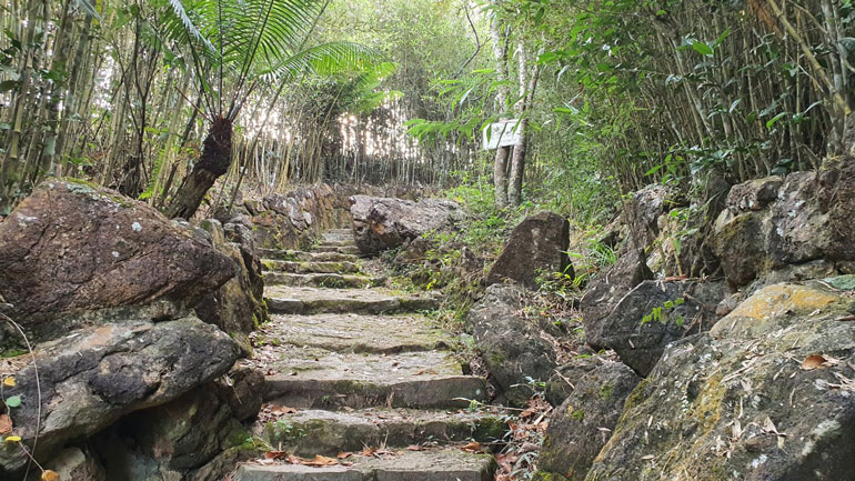 Bậc thang đá – lối đi bộ lên Linh Quy Pháp Ấn nằm dưới vòm trúc