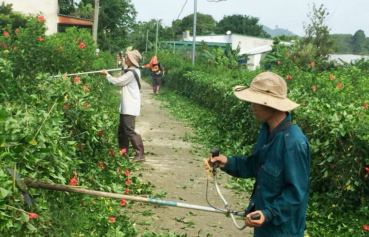 Các lực lượng và người dân huyện Đạ Tẻh cắt tỉa, tôn tạo cảnh quan tại các khu dân cư