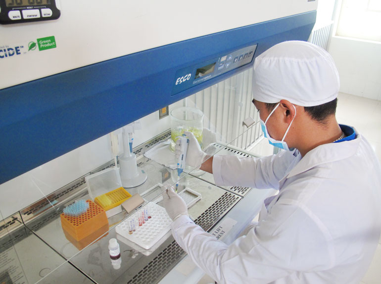 Kỹ thuật viên đang thực hiện mẫu xét nghiệm tại Phòng xét nghiệm khẳng định HIV thuộc Trung tâm Kiểm soát bệnh tật Lâm Đồng