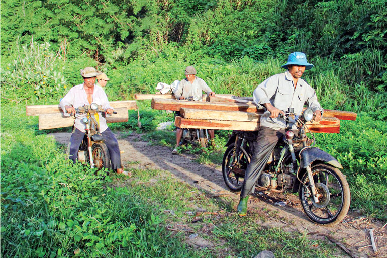 Rừng giáp ranh luôn tiềm ẩn mất rừng