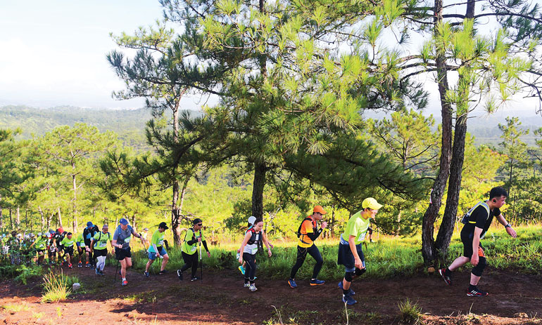 Giải chạy địa hình siêu Marathon quốc tế Dalat Ultra Trail 2020 với trên 5.500 VĐV tham gia trong tháng 6/2020 tại Đà Lạt