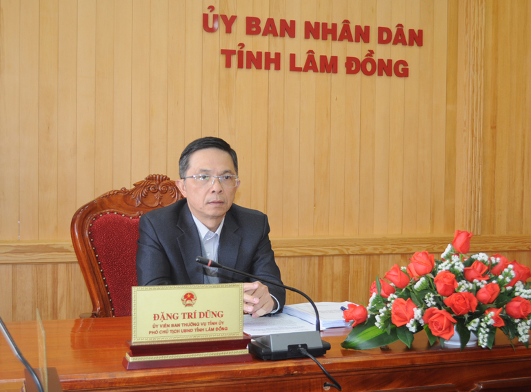 Tổng kết Chiến lược phát triển thanh niên Việt Nam giai đoạn 2011 - 2020