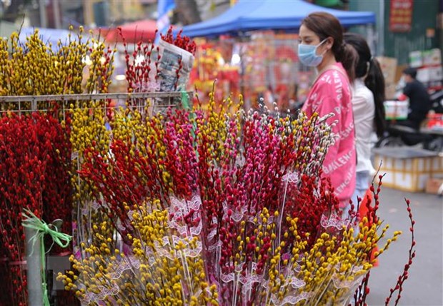 Người dân đi chợ hoa Hàng Lược