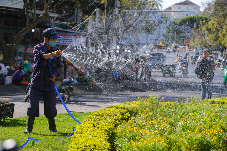 Một nam công nhân chăm sóc hoa tại bùng binh chợ Đà Lạt chiều nay