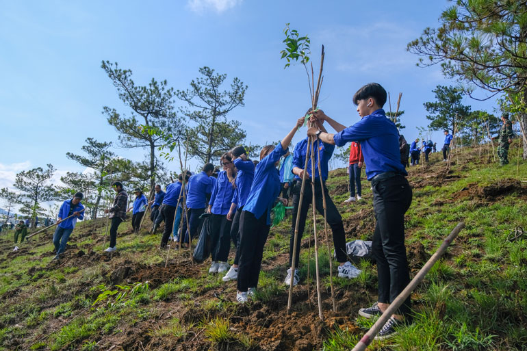 Đoàn viên, thanh niên huyện Đức Trọng tham gia trồng cây