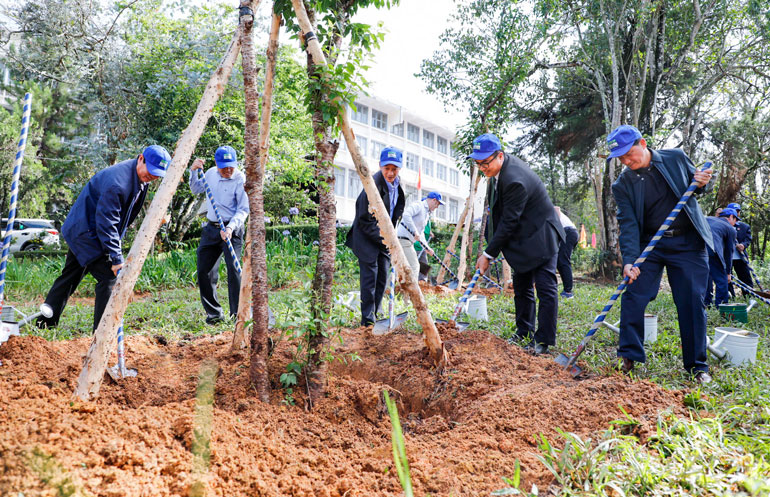 Thường trực Tỉnh uỷ Lâm Đồng cùng các nhà tài trợ trồng cây mai anh đào tại khuôn viên Trung tâm Văn hoá Thanh thiếu niên tỉnh Lâm Đồng.