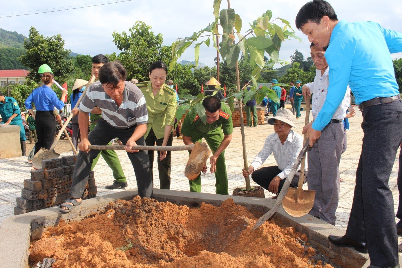 Các lực lượng hưởng ứng trồng cây xanh sau lễ phát đồng