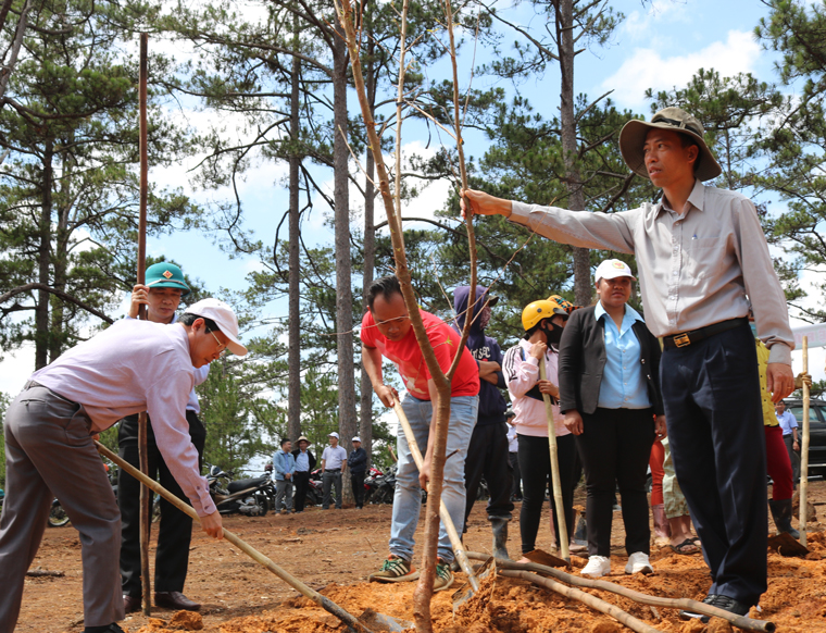 Các đồng chí lãnh đạo huyện Lạc Dương trồng cây trên địa bàn xã Đạ Chais