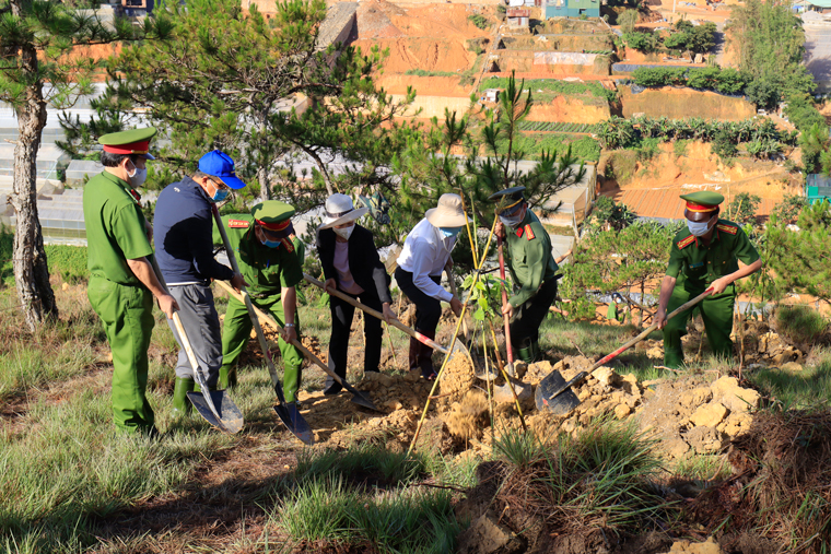 Lãnh đạo thành phố tham gia trồng cây tăng thêm mảng xanh cho Đà lạt