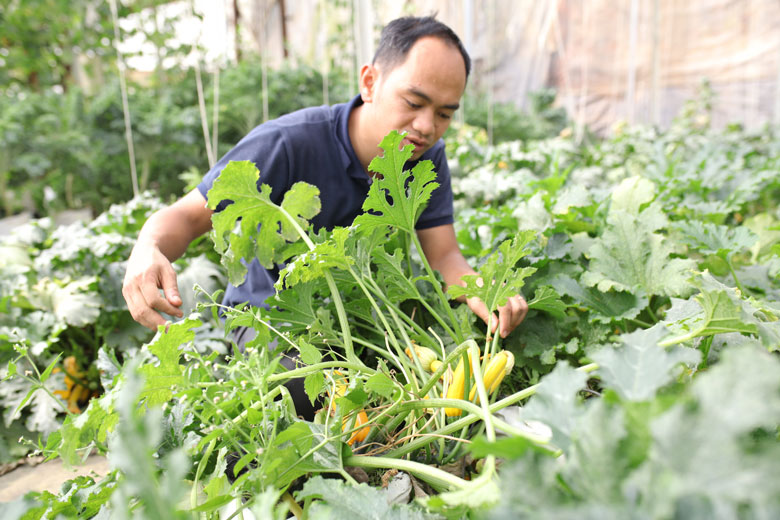 Nông sản VietGAP - hướng tiêu dùng trong tương lai (Bài 2)