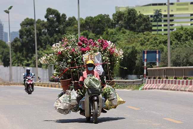 Bắc Bộ trời nắng, Nam Tây Nguyên và Nam Bộ có mưa rào và dông