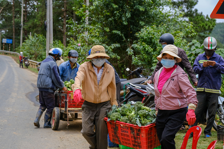 Lâm Đồng: Đảm bảo đáp ứng nhu cầu chăm sóc y tế cho Nhân dân mọi lúc, mọi nơi khi cần thiết