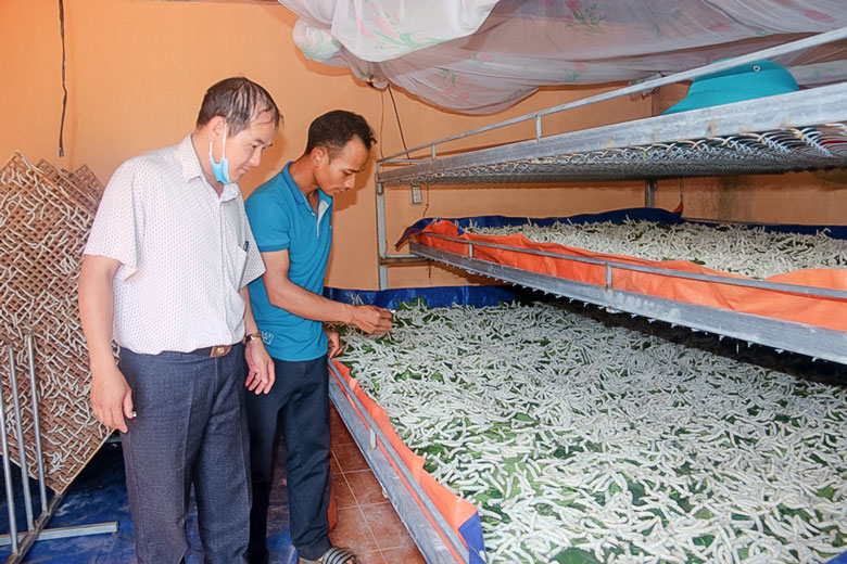 Đồng bào DTTS xã Đinh Trang Thượng đã cải thiện thu nhập từ nghề trồng dâu, nuôi tằm. (Ảnh chụp trước ngày 27/4/2021)