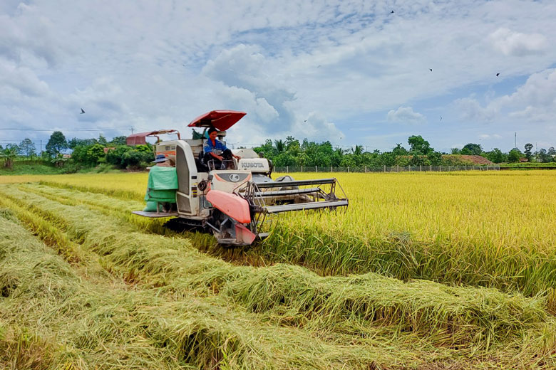 Mặc dù trong tình hình dịch bệnh COVID-19 diễn biến phức tạp, nhưng việc tiêu thụ sản phẩm lúa gạo Cát Tiên vẫn được các doanh nghiệp thực hiện thuận lợi