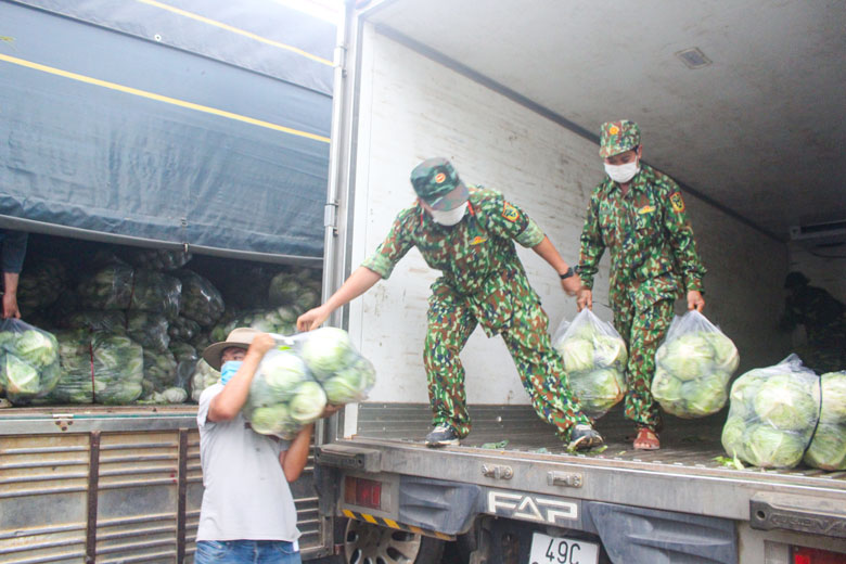 Các địa phương triển khai kế hoạch hỗ trợ nông sản cho TP Hồ Chí Minh trong 25 ngày