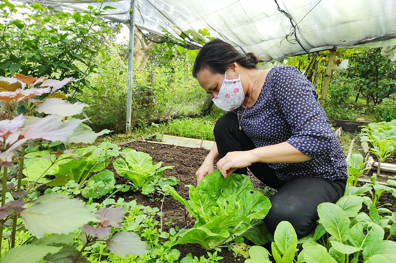 Hội viên của Hội LHPN huyện Đạ Huoai tích cực trồng thêm rau xanh, chăn nuôi gia cầm để vừa đảm bảo thực phẩm cho gia đình, vừa có thể hỗ trợ cho các trường hợp khác