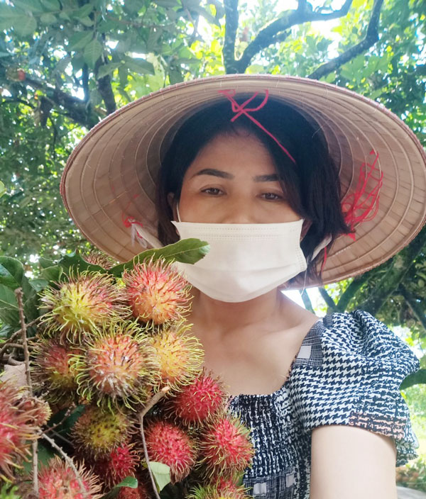 Do ảnh hưởng đại dịch COVID-19, sản lượng chôm chôm thu hoạch ở HTX Trái cây Tây Nguyên (xã Rô Men, huyện Đam Rông) phần lớn khai thác thị trường tiêu thụ trong tỉnh Lâm Đồng