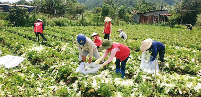 Lan tỏa các hoạt động nhân đạo ở Đức Trọng