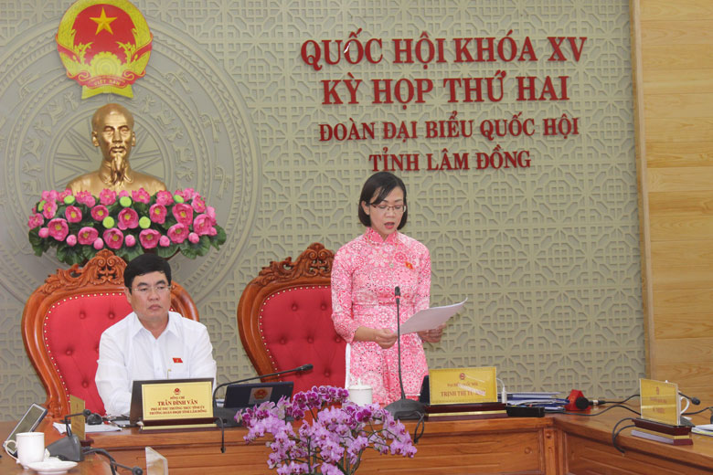 Đại biểu Quốc hội tỉnh Lâm Đồng Trịnh Thị Tú Anh góp ý Luật Điện ảnh