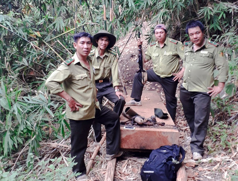 Lực lượng tuần tra rừng phát hiện một vụ khai thác, vận chuyển lâm sản trái phép