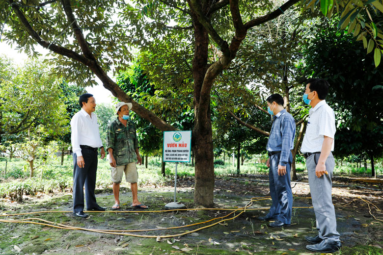 Cán bộ huyện thăm khu vườn kiểu mẫu của hộ gia đình anh Phạm Thanh Duyên