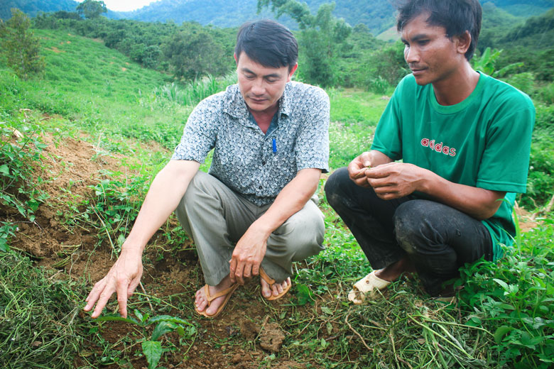 Đam Rông: Tăng cường công tác xây dựng, chỉnh đốn Đảng