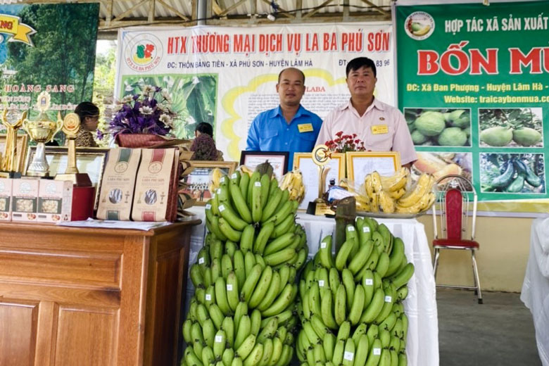 HTX Thương mại, dịch vụ LaBa Phú Sơn thường xuyên trưng bày giới thiệu để quảng bá cho mặt hàng nông sản địa phương