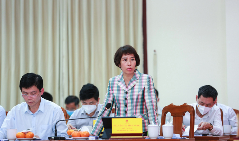 Bà Nguyễn Thị Bích Ngọc – Thứ trưởng Bộ Kế hoạch và Đầu tư phát biểu tại buổi làm việc