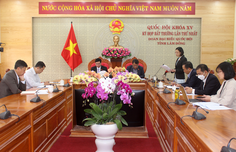 ĐBQH – Tiến sĩ Trịnh Thị Tú Anh tham gia góp ý về Luật Điện lực