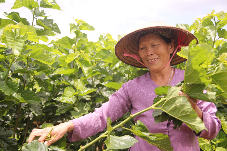 Nhiều mô hình “Dân vận khéo” tiêu biểu đã tạo thêm động lực cho bà con nông dân huyện Lâm Hà mạnh dạn chuyển đổi cơ cấu cây trồng, vật nuôi.