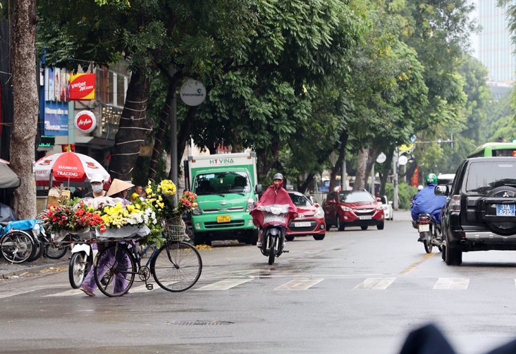 Thời tiết ngày 16/1: Bắc Bộ và Bắc Trung Bộ có mưa vừa đến mưa to