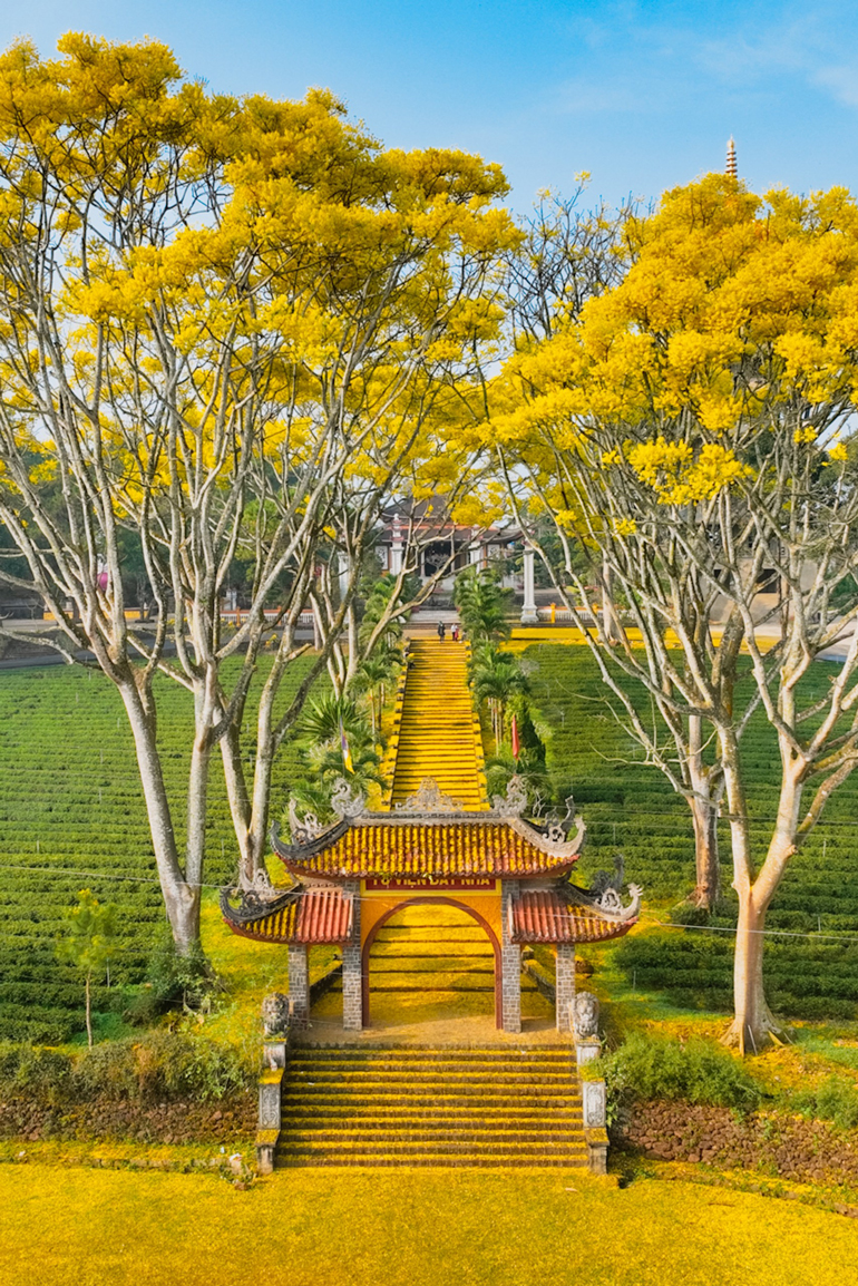 Những đồi chè bạt ngàn bao quanh và hàng điệp vàng nhiều năm tuổi đang bung hoa rực rỡ tạo nên cảnh quan đẹp, thơ mộng cho Tu viện