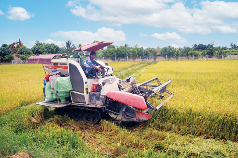 Cát Tiên tạo đà phát triển kinh tế - xã hội