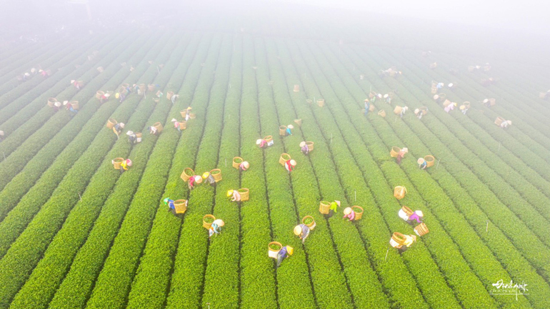 Thành ủy Bảo Lộc xây dựng Chương trình hành động thực hiện Nghị quyết 05 của Ban Thường vụ Tỉnh ủy