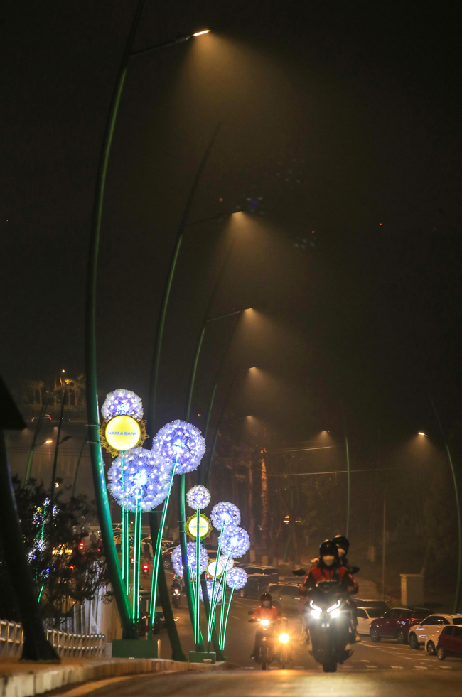 Nhiều người dân, du khách thích thú khi đi qua cung đường từ ngã 5 Kim Cúc đổ xuống quảng trường Lâm Viên được trang hoàng bắt mắt với hệ thống đèn điện mô phỏng hoa bồ công anh 