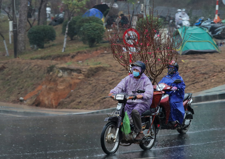 Chợ hoa Đà Lạt: sức mua giảm, lại mưa to làm người bán hoa thêm ''héo''