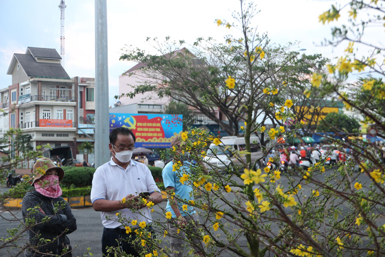 Bảo Lộc: Chợ hoa tết ngày cuối năm đông vui